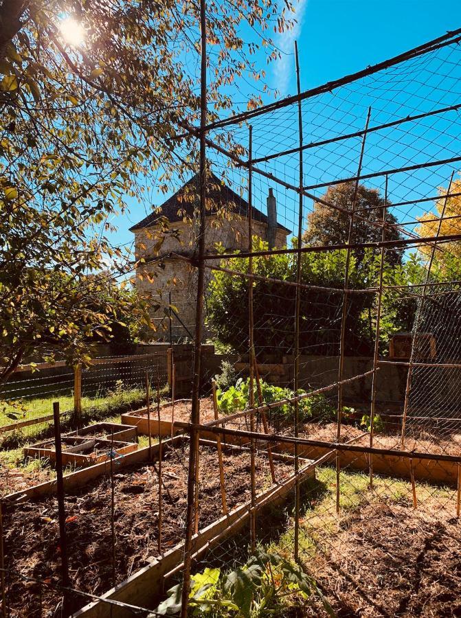 Pool House-L'Hirondelle De Sermizelles- Grand Jardin, Calme Et Nature Aux Portes Du Morvan Zewnętrze zdjęcie