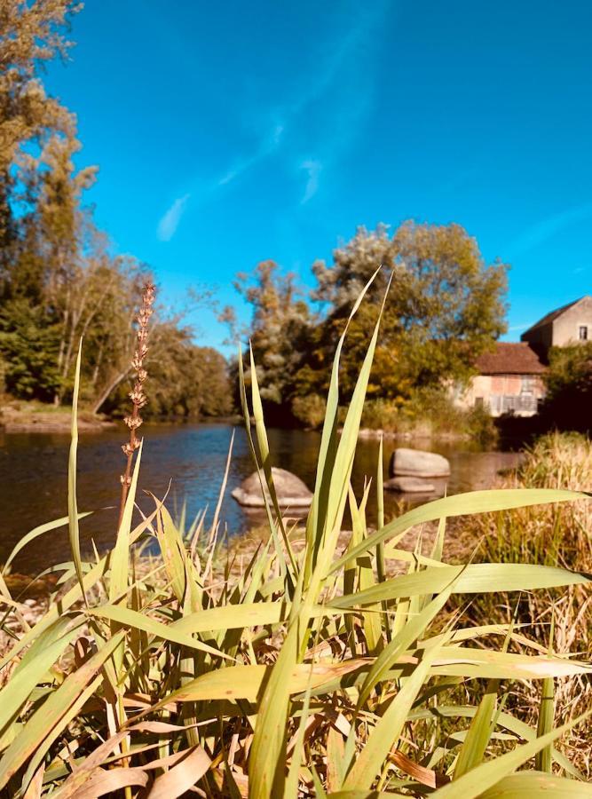 Pool House-L'Hirondelle De Sermizelles- Grand Jardin, Calme Et Nature Aux Portes Du Morvan Zewnętrze zdjęcie