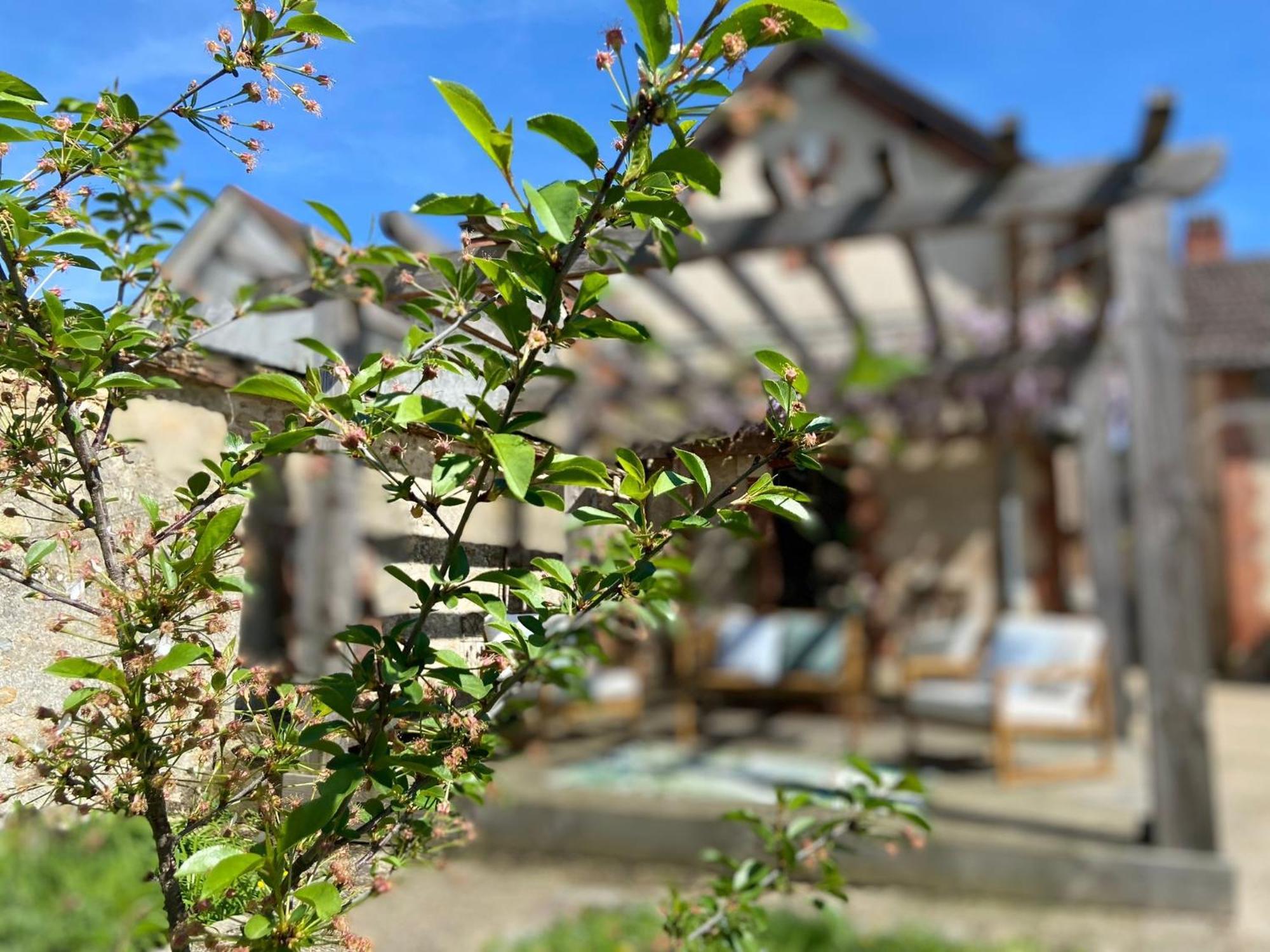 Pool House-L'Hirondelle De Sermizelles- Grand Jardin, Calme Et Nature Aux Portes Du Morvan Zewnętrze zdjęcie